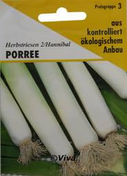 Aries Saatgut Porree/A